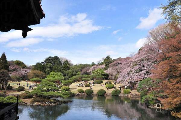 (圖:yahoo blog jp@ワーク・アウト BARONの戯言!!) 東京